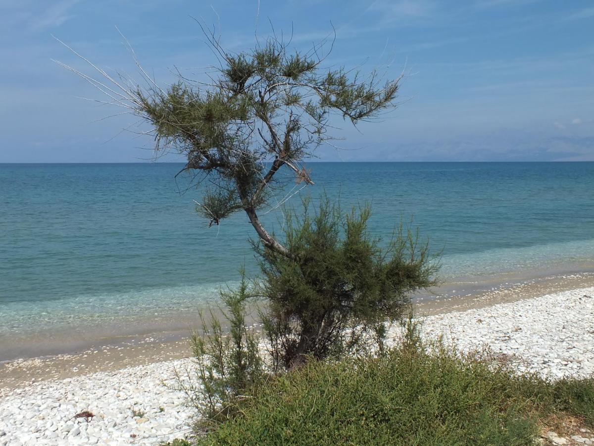 Frosos Beachfront Maisonette Acharavi Ахарави Екстериор снимка